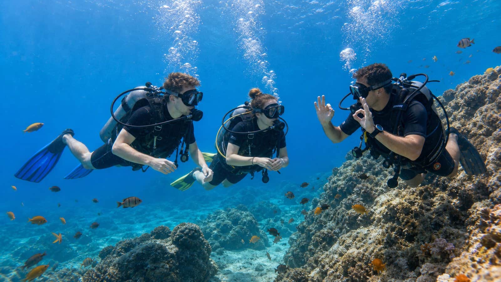 Alanya Diving Tour